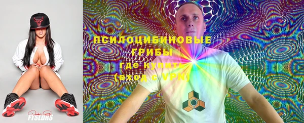 винт Алзамай