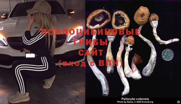 винт Алзамай