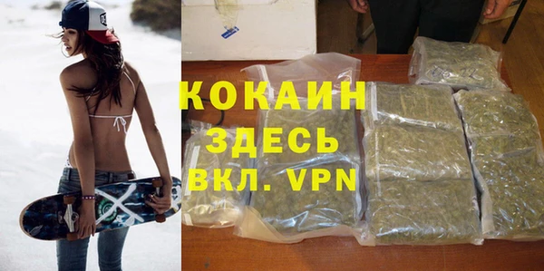 spice Алексин