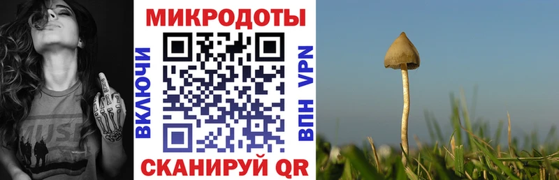 Псилоцибиновые грибы Psilocybine cubensis  Бабушкин 